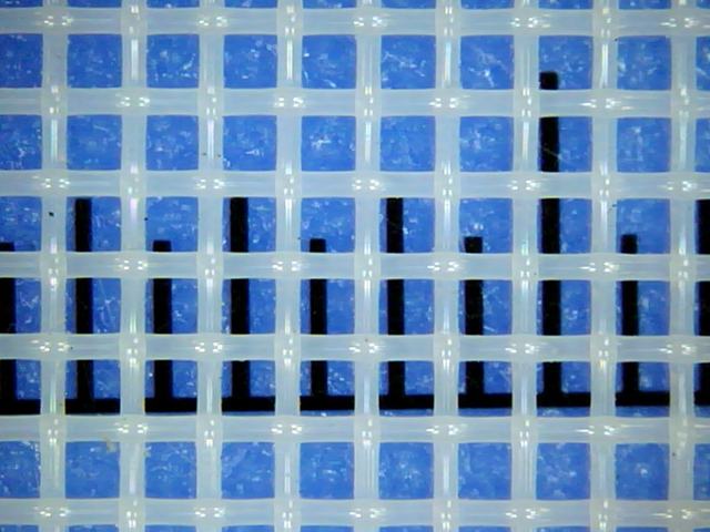 Polyester mesh 18T-150 under the microscope with scale