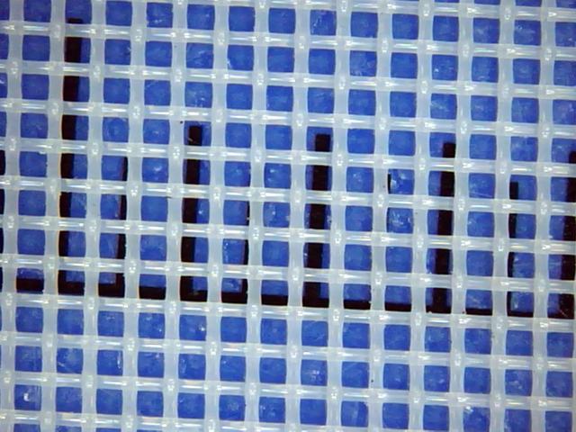 Polyester mesh 24T-100 under the microscope with scale