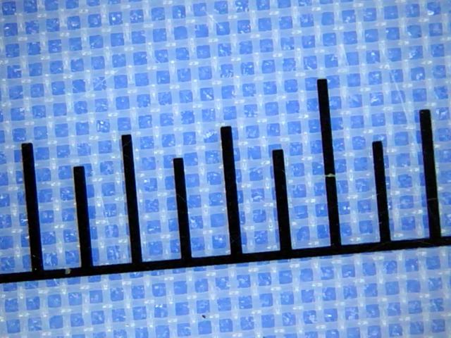 Polyester mesh 48T-70 under the microscope with scale